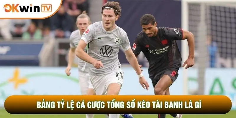 Kèo Tài Banh Là Gì? Thắc Mắc Đằng Sau Loại Hình Cá Cược 2 Bảng tỷ lệ cá cược tổng số kèo tài banh là gì