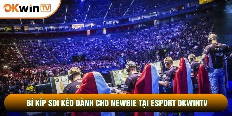 Esport OKWINTV 2 Bí kíp soi kèo dành cho newbie tại esport OKWINTV