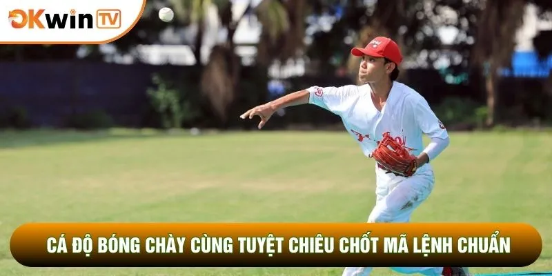 Cá Độ Bóng Chày Cùng Tuyệt Chiêu Chốt Mã Lệnh Chuẩn Nhất