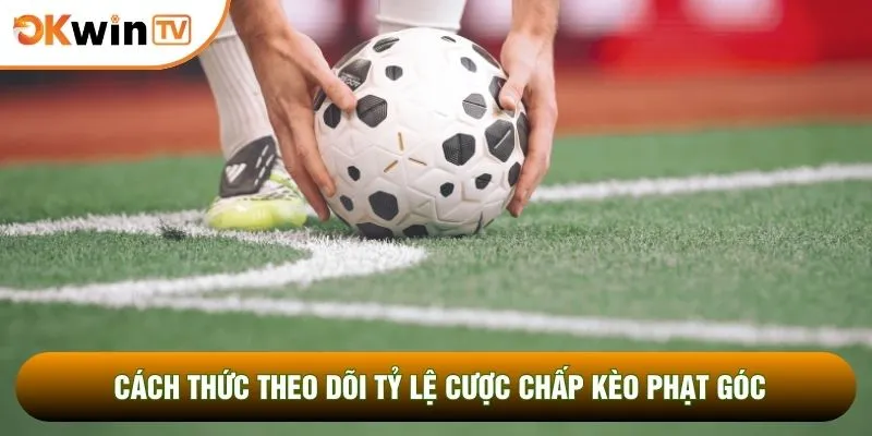 Cách thức theo dõi tỷ lệ cược chấp kèo phạt góc