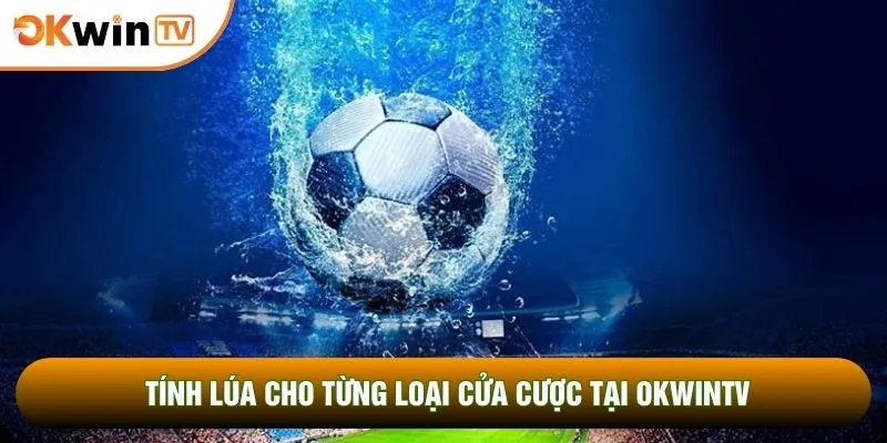 Kèo Chấp 1/2 Cùng Bí Kíp Chốt Mã Lệnh Chuẩn Xác Nhất 3 Tính lúa cho từng loại cửa cược tại OKWINTV
